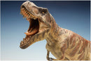 Tyrannosaurus Rex (T-Rex) 1/32 Scale Model Kit Head Detail