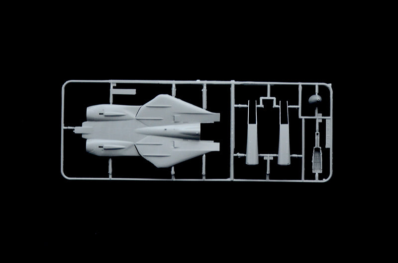 Grumman F-14A Tomcat, 1/72 Scale Model Kit Frame 1