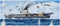 USS Yorktown Aircraft Carrier CV-5,1:700 Scale Model Kit Box Art