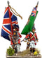 Napoleonic Peninsular War British Infantry Centre Companies, 28 mm Scale Model Plastic Figures Command Detail