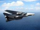 Grumman F-14D Tomcat, VF-213 “Black Lions”  with LANTIRN Pod