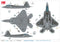 Lockheed Martin F-22A Raptor, 19th Fighter Squadron “Gamecocks” 2018, 1:72 Scale Diecast Model Markings Guide