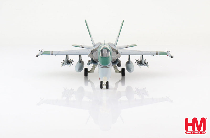 McDonnell Douglas F/A-18C Hornet VFA-195 “Dambusters” 2010, 1:72 Scale Diecast Model Front View