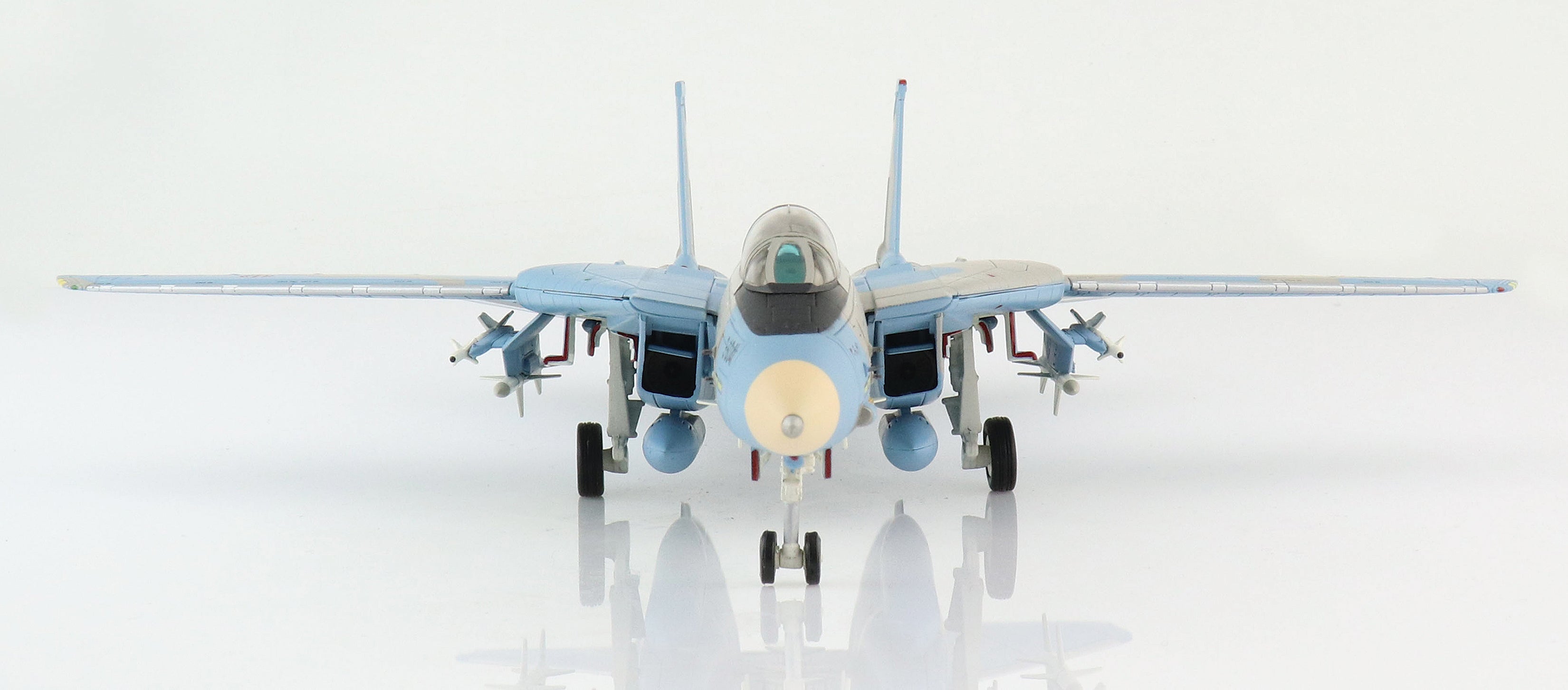 Grumman F-14A Tomcat, 3-5041 Islamic Republic of Iran Air Force (IRIAF) 2003, 1:72 Scale Diecast Model Front View