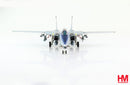 Grumman F-14D Tomcat, VF-213 “Black Lions” 2006, 1:72 Scale Diecast Model Front View