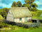 Medieval Cottage 1300 -1700 AD 28 mm Scale Scenery