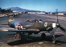 Bell P-39Q Airacobra "Saga Boy II"  357th Fighter Group 1943