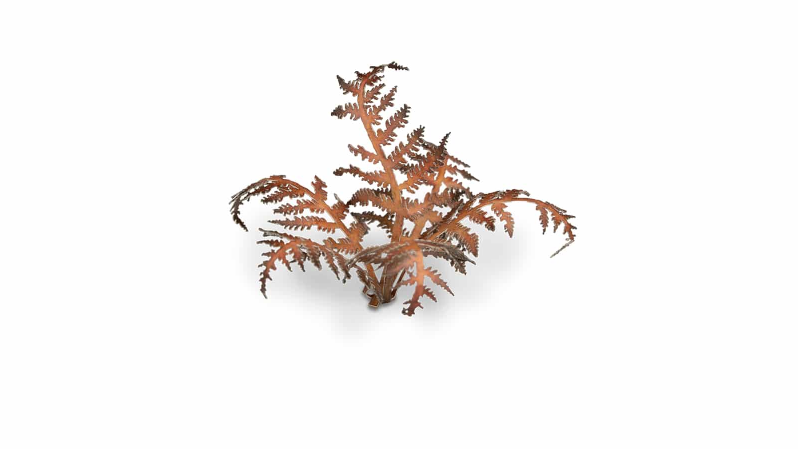 Dry Bracken Laser Cut Plant Set Example 1