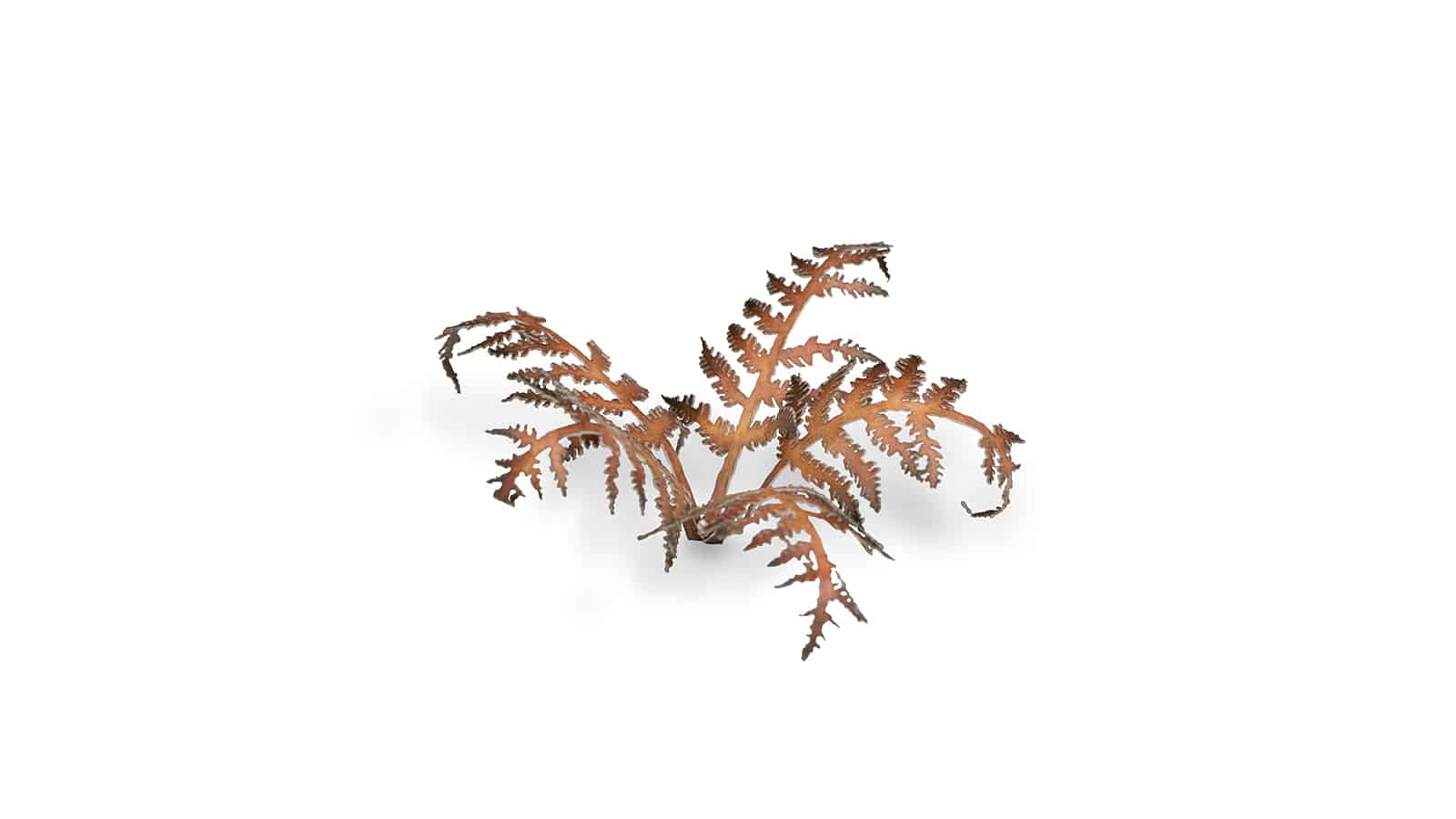 Dry Bracken Laser Cut Plant Set Example 2