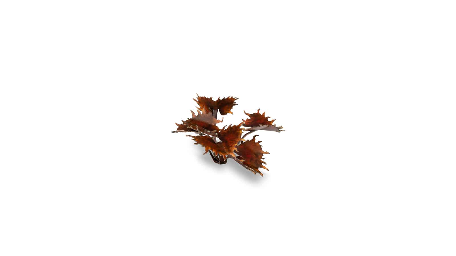 Detailed macro shot of reddish-brown GamersGrass Alien Flytrap laser-cut leaves.