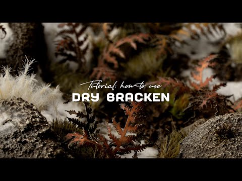 Dry Bracken Laser Cut Plant Set How To Us Tutorial