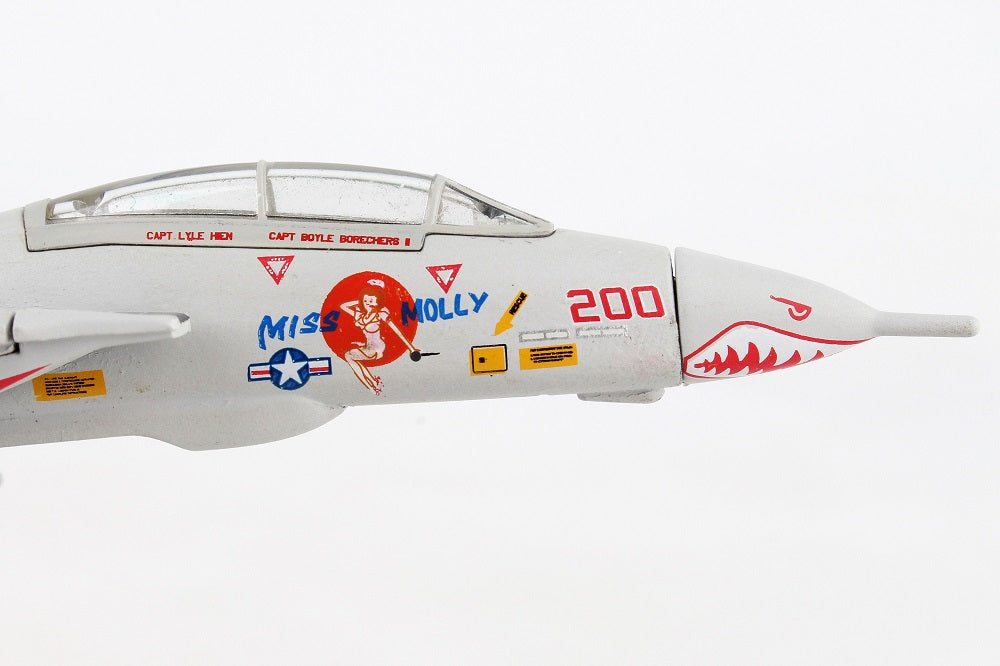 Grumman F-14 Tomcat “Miss Molly” 1/160 Scale Model