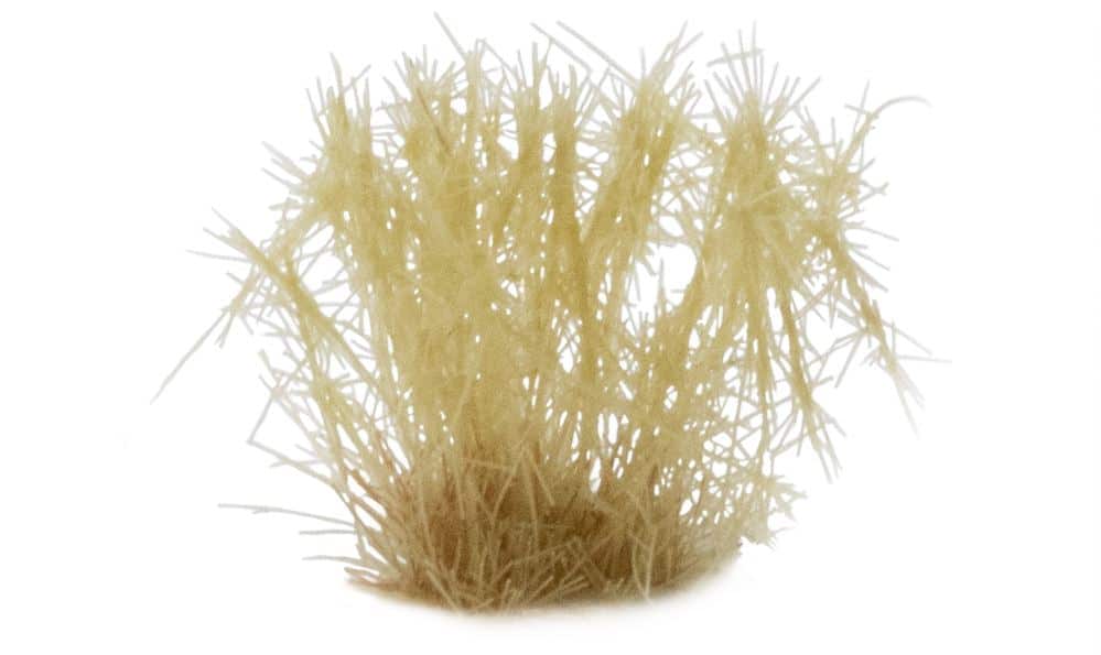 Spikey Beige Tuft Set 12mm Close Up