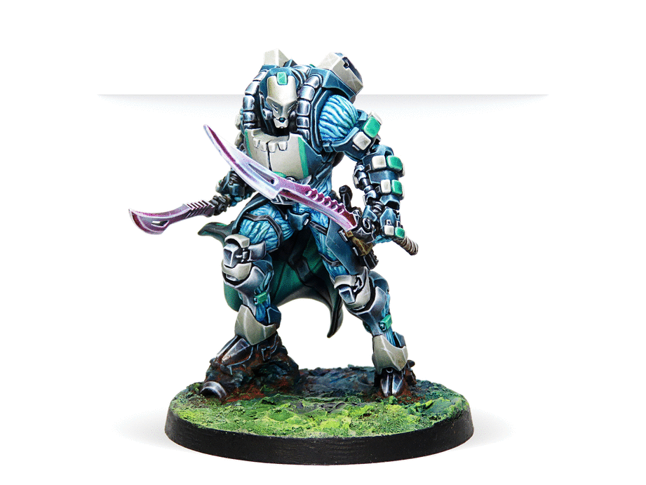 Infinity Spiral Corps Army Pack