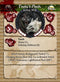 Open Rebellion (Wolf Clan) Themed Warband Metal Figure Set Tsuki's Pack Profile Card Front