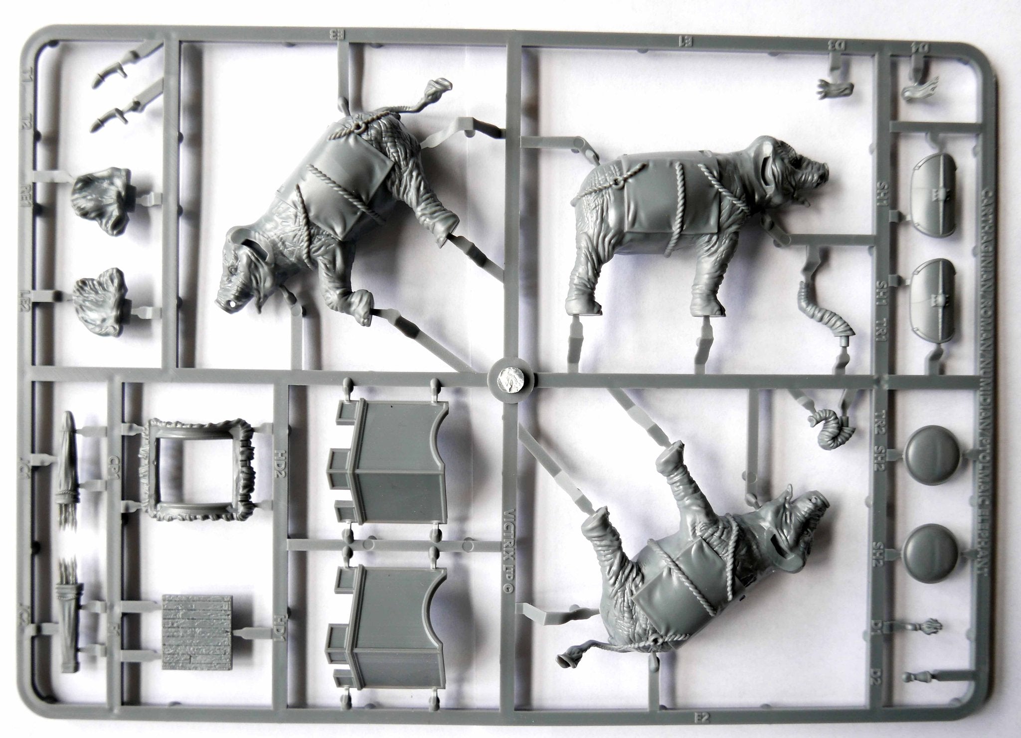 Victrix Ltd African Elephant body sprue showing modular trunk, leg, and howdah options